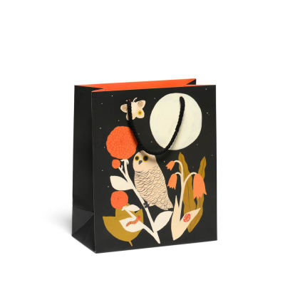 Owl and Moth medium bag|Red Cap Cards