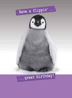 Flippin Great Birthday