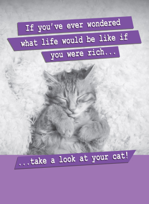 If You Were Rich