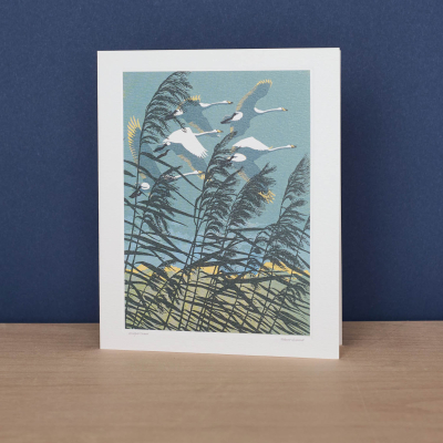 Whooper Swans|Art Angels