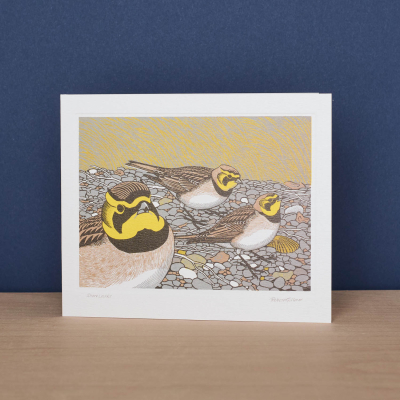 Shorelarks|Art Angels