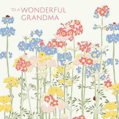 Primulas Grandma