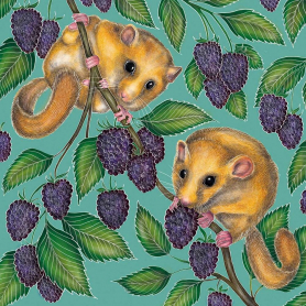 Dormice And Blackberries