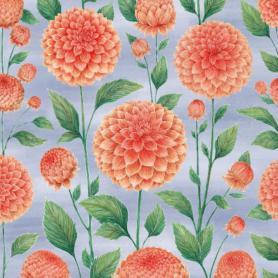 Peach Dahlias