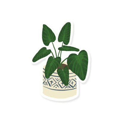STICKER Alocasia Plant