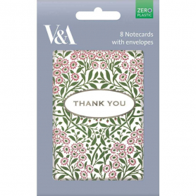 NOTECARD Social Michaelmas Daisy