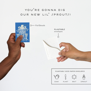 Blue Flower Bouquet|Seedlings