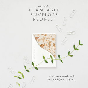 Saddle Up Birthday Sprouts Mini Card|Seedlings