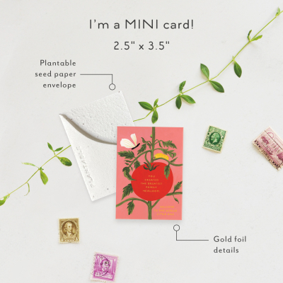 Heirloom Sprouts Mini Card|Seedlings