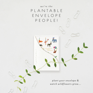 Animal Party Baby Sprouts Mini Card|Seedlings