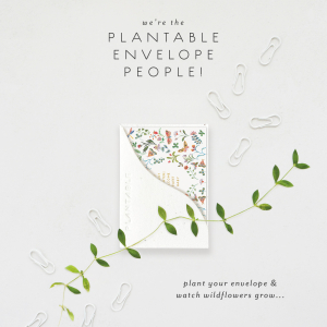 Butterfly Garden Baby Mini Card|Seedlings