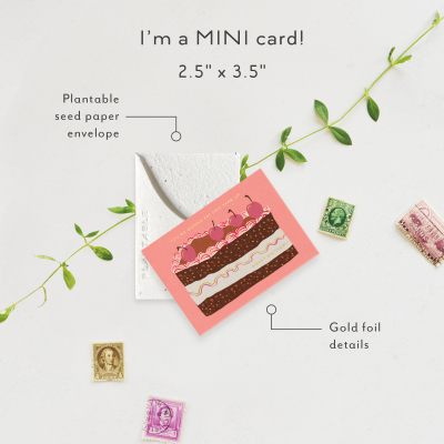 Slice Of Cake|Seedlings