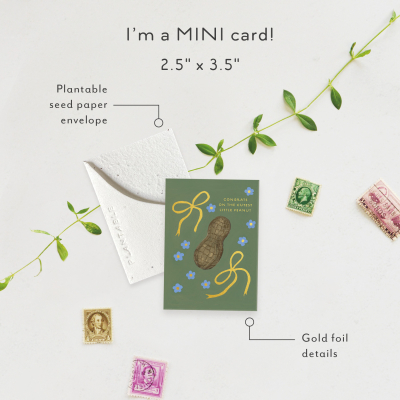 Little Peanut|Seedlings