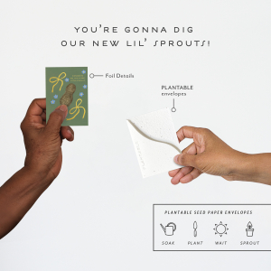 Little Peanut|Seedlings