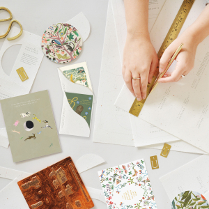 Little Peanut|Seedlings