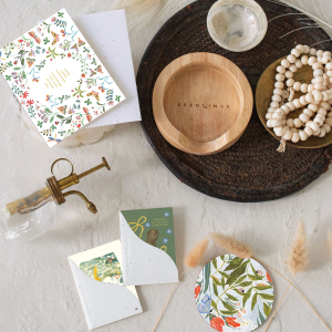 Little Peanut|Seedlings