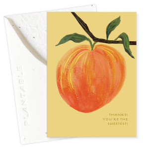 Peach Thank You Sprouts Mini Card|Seedlings