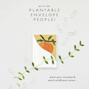Peach Thank You Sprouts Mini Card|Seedlings