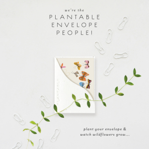 Butterflies Love And Friendship Sprouts Mini Card|Seedlings