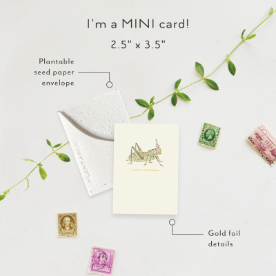 Hoppy Bday|Seedlings