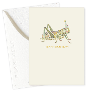 Hoppy Bday|Seedlings