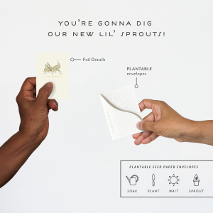 Hoppy Bday|Seedlings