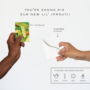 Pickles Birthday Sprouts Mini Card|Seedlings