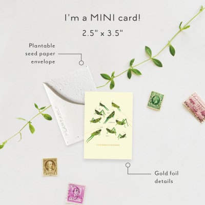 Jumping For Joy|Seedlings