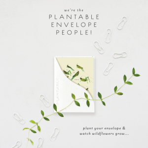 Jumping For Joy|Seedlings