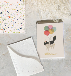 Birthday Kitty Sprouts Mini Card|Seedlings