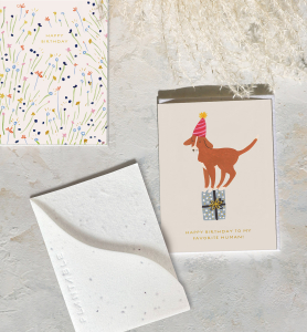 Birthday Dog Sprouts Mini Card|Seedlings