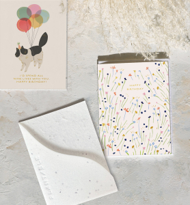 Sweetest Stems Sprouts Mini Card|Seedlings