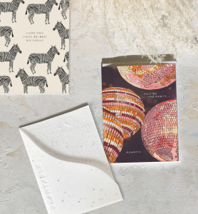 Disco Sprouts Mini Card|Seedlings