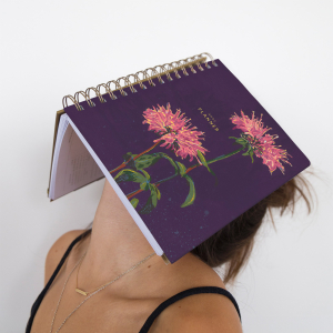 Happy Days 12 Month Weekly Planner|Seedlings