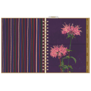 Happy Days 12 Month Weekly Planner|Seedlings