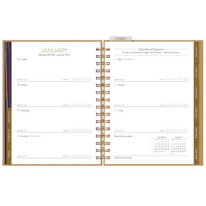 Happy Days 12 Month Weekly Planner|Seedlings
