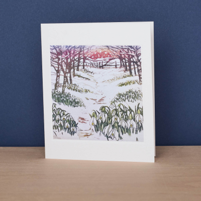 Snowdrop Wood|Art Angels