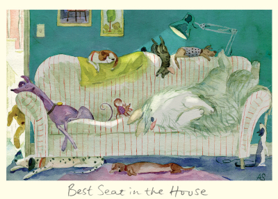 Best Seat In The House