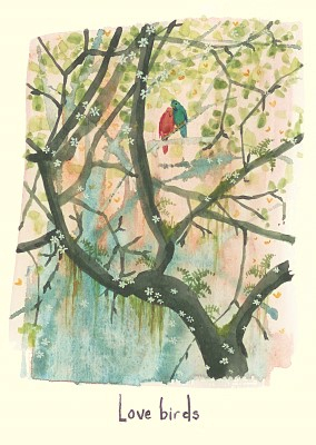 Love Birds