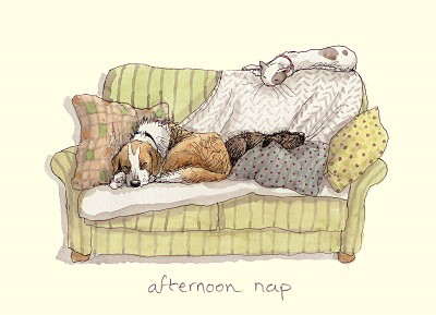 Afternoon Nap
