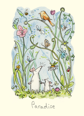 Paradise