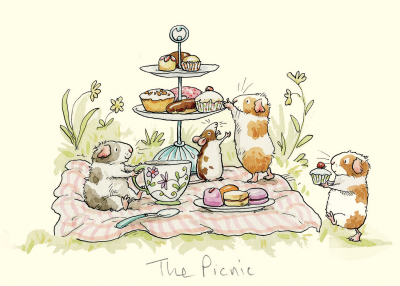 The Picnic