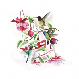 Hummingbird|Up With Paper