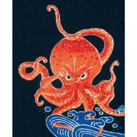 Octopus Noren Curtain Design