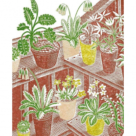 Ravilious Plants