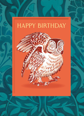 Wise Owl Birthday