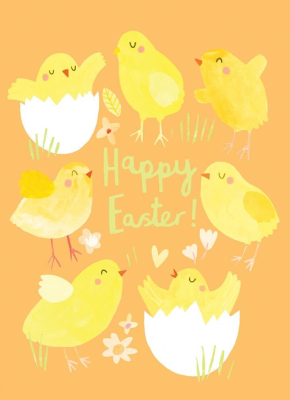 Chicks