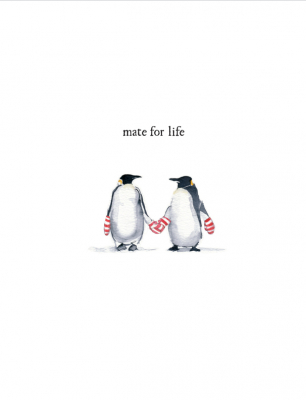 Mate For Life