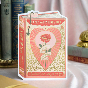 Bewitched Valentine Book Cover