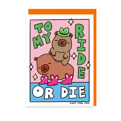 To My Ride Or Die